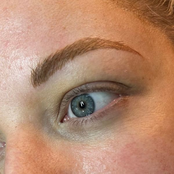 The Brow Fairy - permanent makeup work in Columbia Station, OH