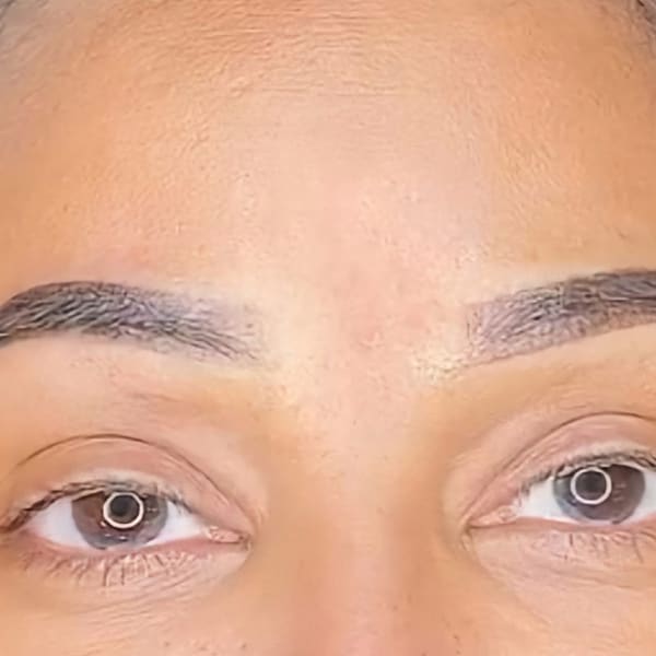 Dipped In Beautee - permanent makeup work in Garner, NC