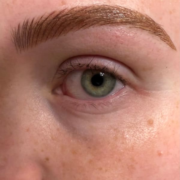 Maddsforbrows - permanent makeup work in Salem, UT