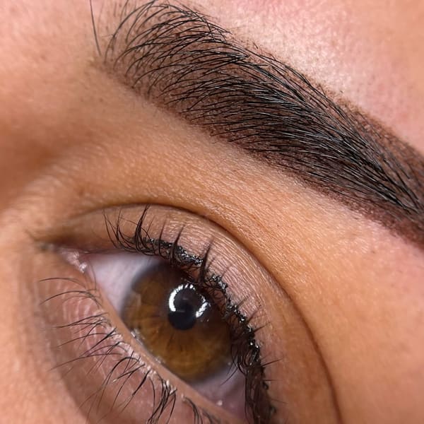 Erika Aurora Brows - permanent makeup work in Manteca, CA