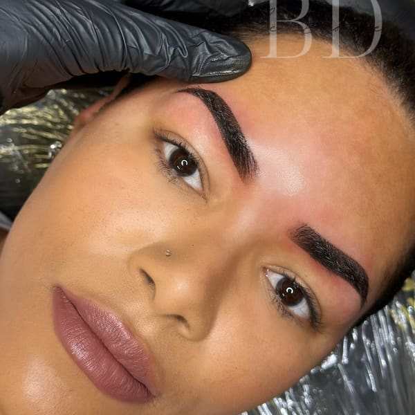 Alicia Marie.ink - permanent makeup work in Waterloo, NY