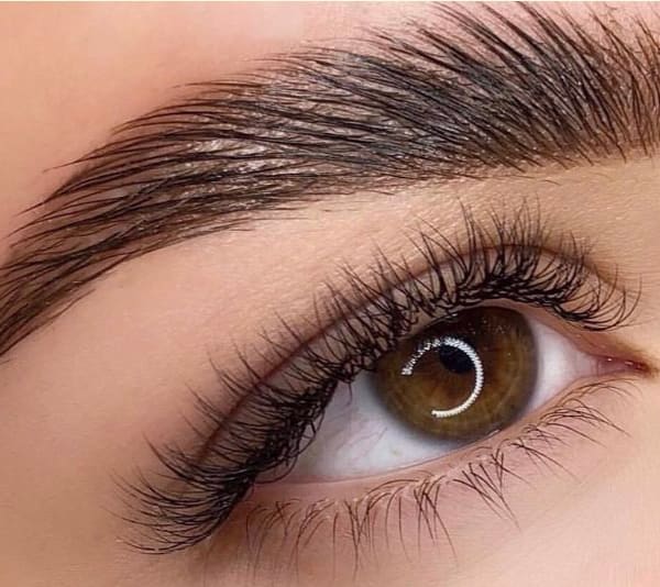 Lovemyeyebrows - permanent makeup work in Dania Beach, FL