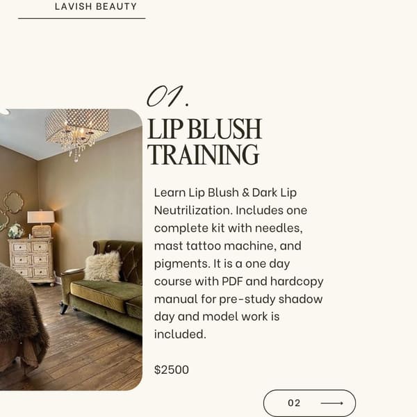 Lavish Beauty and Brow - permanent makeup work in Lake Mary, FL