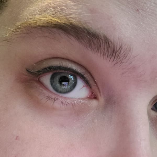 Permanent Cosmetics by Irina Falevich - permanent makeup work in Wurtsboro, NY