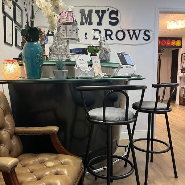 Amy's Lash and Brows - permanent makeup work in Punta Gorda, FL