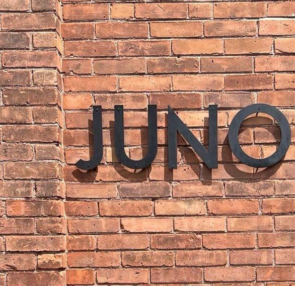 Juno Studios - permanent makeup work in Simsbury, CT