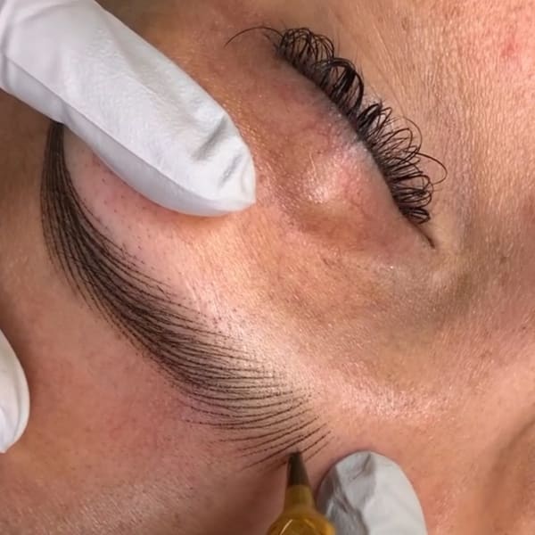 Perfect Brows Microblading Skincare Studio - permanent makeup work in Roseville, CA