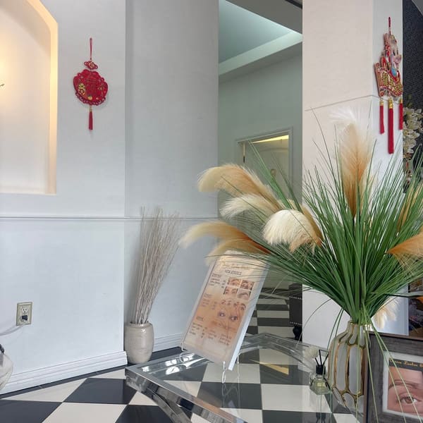 Venice Lash Studio - permanent makeup work in Missouri City, TX
