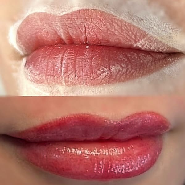 Gina Snow PMU - permanent makeup work in Bigfork, MT