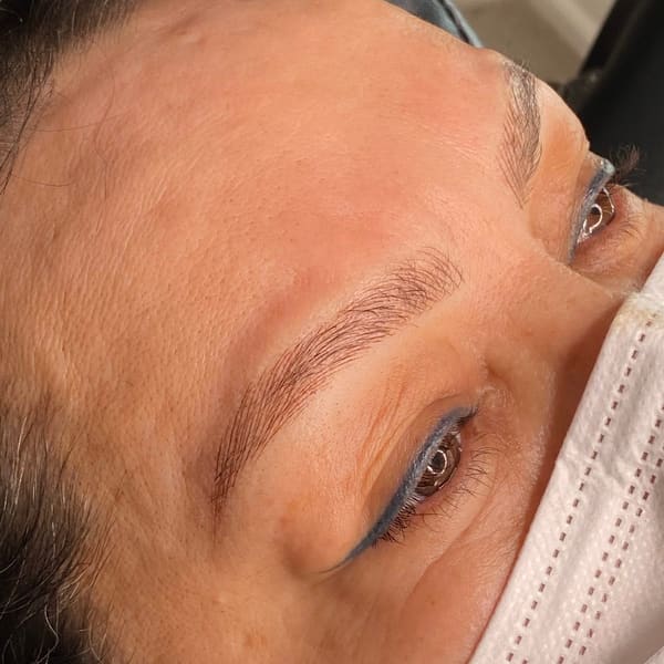 Amore Amore Studio & Academy LLC - permanent makeup work in Round Lake, IL