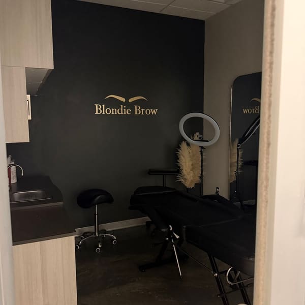 Blondie Brow - permanent makeup work in Mishawaka, IN
