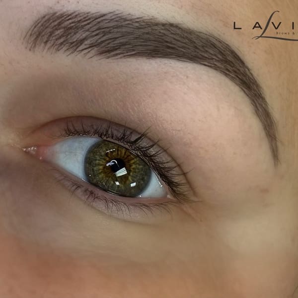 Lavish Brows Microblading & Laser Free Tattoo Removal - permanent makeup work in Wooster, OH