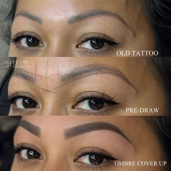 Amplify Brows Plus - permanent makeup work in Newport, MN