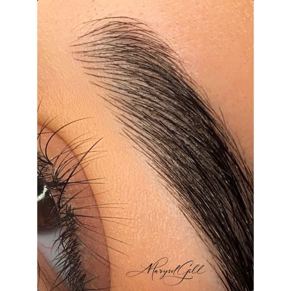 Marysol Gill - permanent makeup work in Colorado Springs, CO