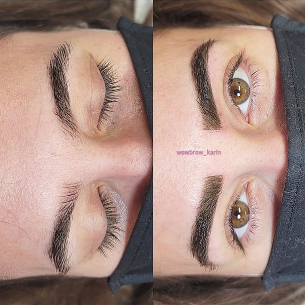 WOW BROW by Karin - permanent makeup work in Mahopac, NY