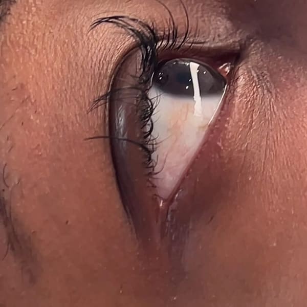 Aparnaz Lash & Brow Boutique - microblading in Bethesda, MD