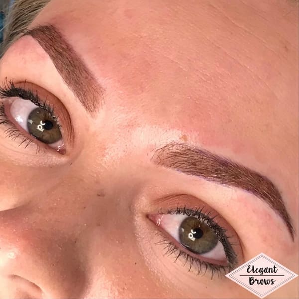 Elegant Brows - permanent makeup work in Smithfield, UT