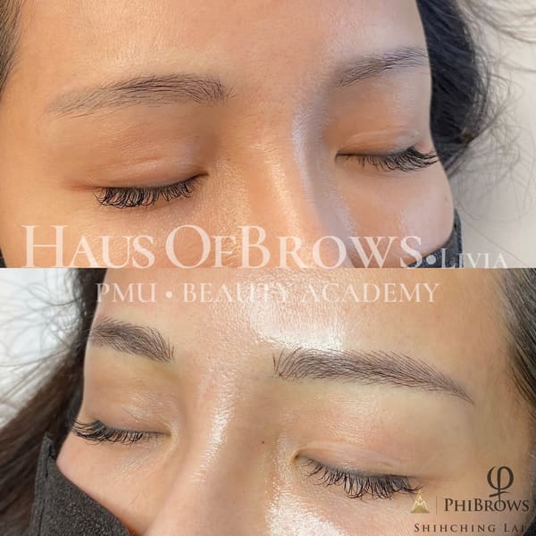 Livia Haus Of Brows - permanent makeup work in Douglaston, NY