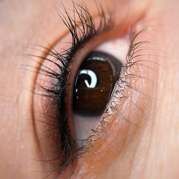 Royal Brows - permanent makeup work in Lynnwood, WA