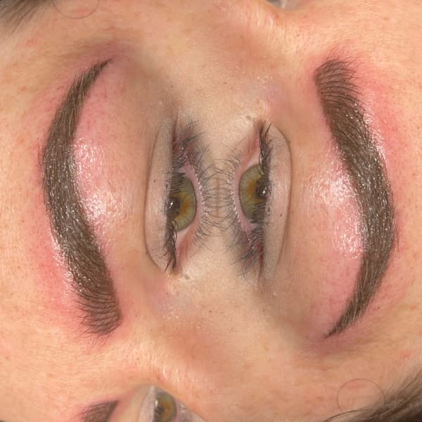 BrowInk - permanent makeup work in Huffman, TX