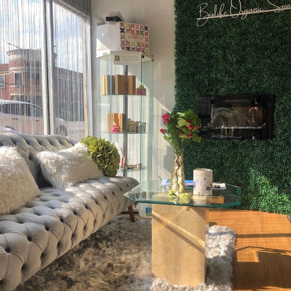 Biolife Organic Spa - powder brows in Chicago, IL