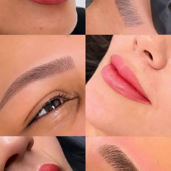 Brazilian Brows by Mah Lewis - microblading in Wesley Chapel, FL
