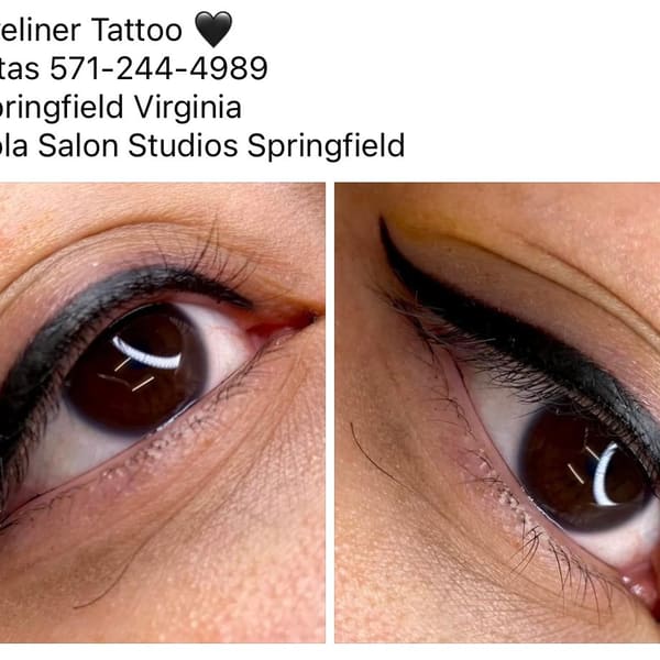 Permanent Makeup & Skincare by Sandra Reyna - permanent makeup work in Springfield, VA
