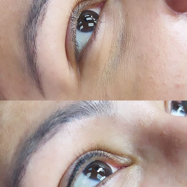 Browtelier by Lara - permanent makeup work in Farmingdale, NY
