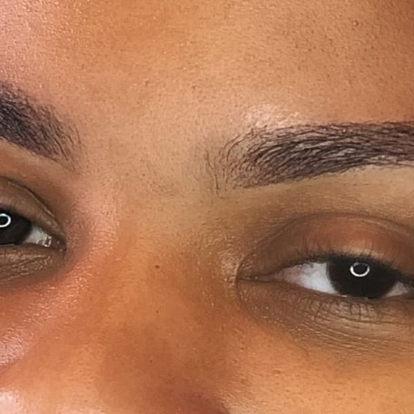 Bombshell Brows by Whitney - permanent makeup work in Pamplico, SC