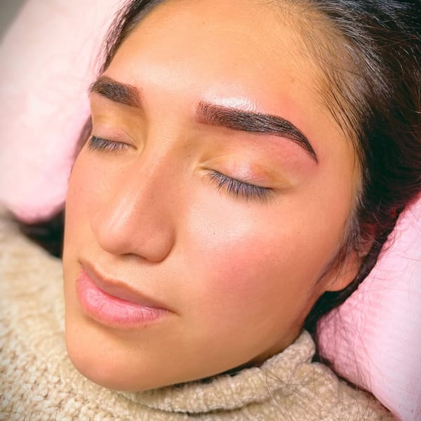 Luxe Brows XD - permanent makeup work in Horizon City, TX