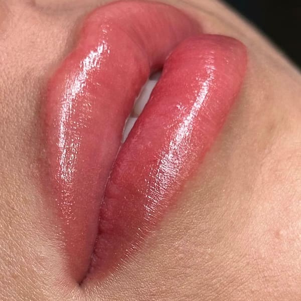 Microblading by Sandra Benicio PMU - permanent makeup work in Southborough, MA
