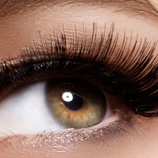 NW Lash Boutique - permanent makeup work in Mountlake Terrace, WA