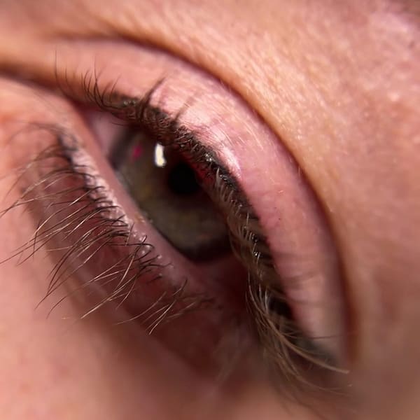 Dream Brows by Kelli - permanent makeup work in Niagara Falls, NY