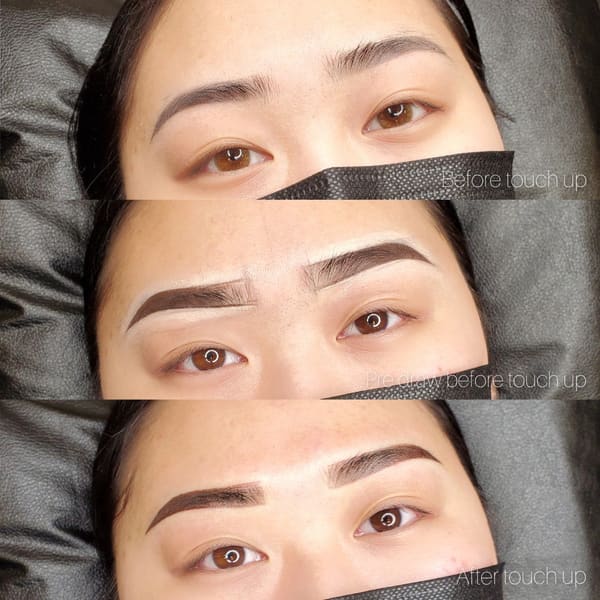 Chic Cosmetics Company - permanent makeup work in Cottage Grove, MN