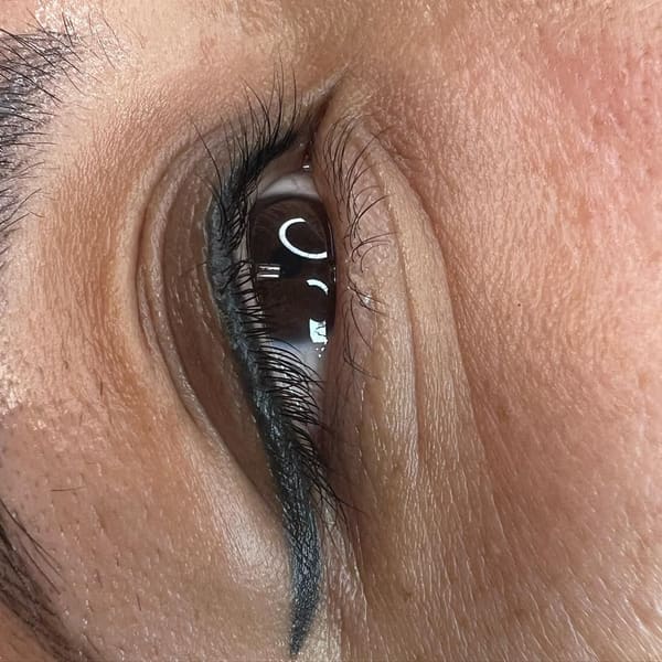 Brows By Nancy - permanent makeup work in Hempstead, NY