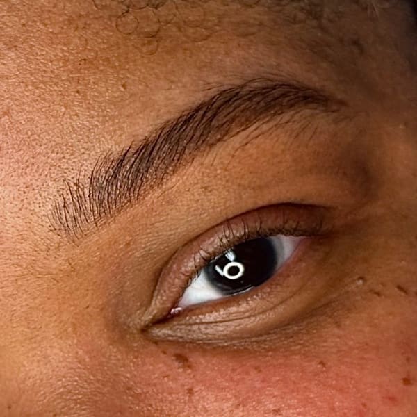Microblading by FYSTYBROWZ Trainer & PMU Artist Los Angeles - permanent makeup work in Walpole, MA