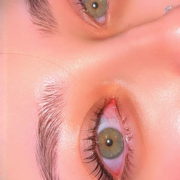 Glamorous brows , skin and lashes - permanent makeup work in Cedar Hill, TX