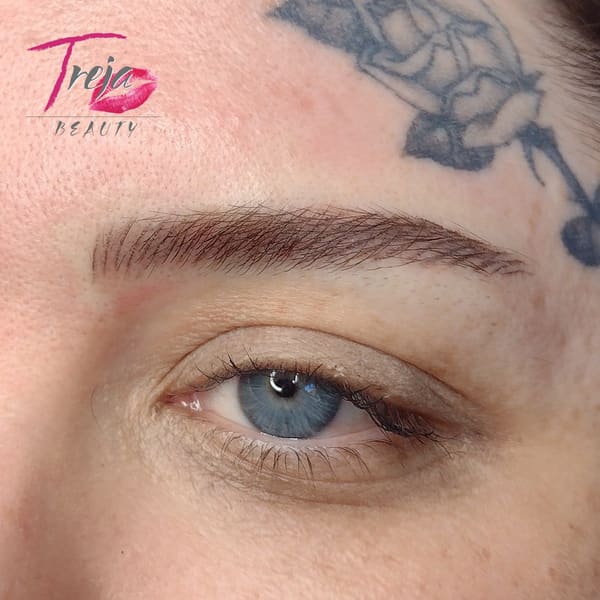 Treja Beauty - permanent makeup work in Cotati, CA