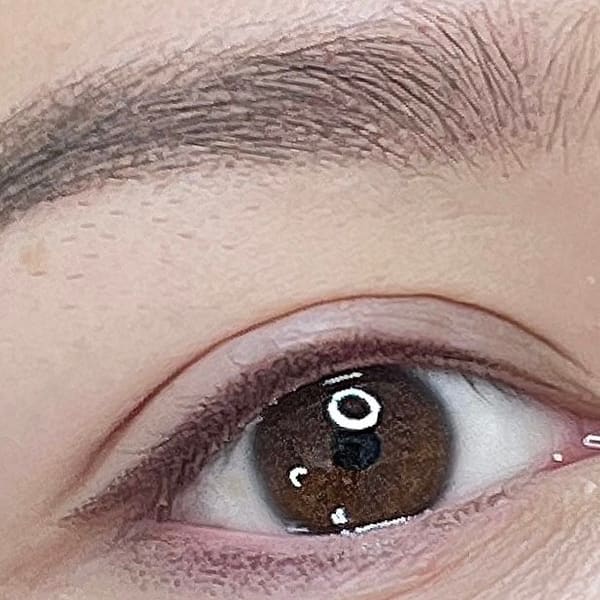 Nicole Beauty Studio - permanent makeup work in Watertown, MA