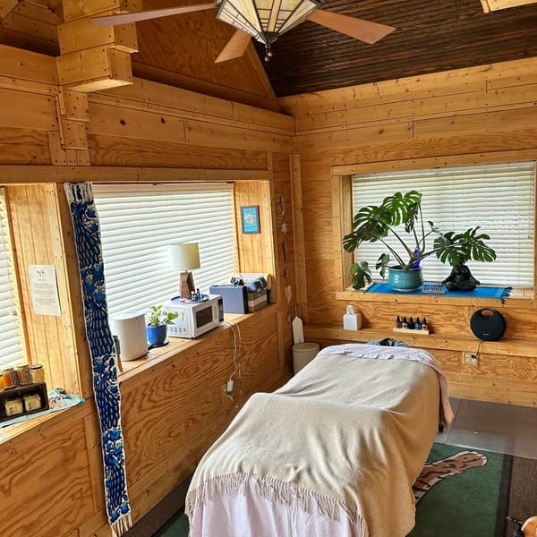 The Blue Door Collective: Beauty & Bodywork - permanent makeup work in Ypsilanti, MI