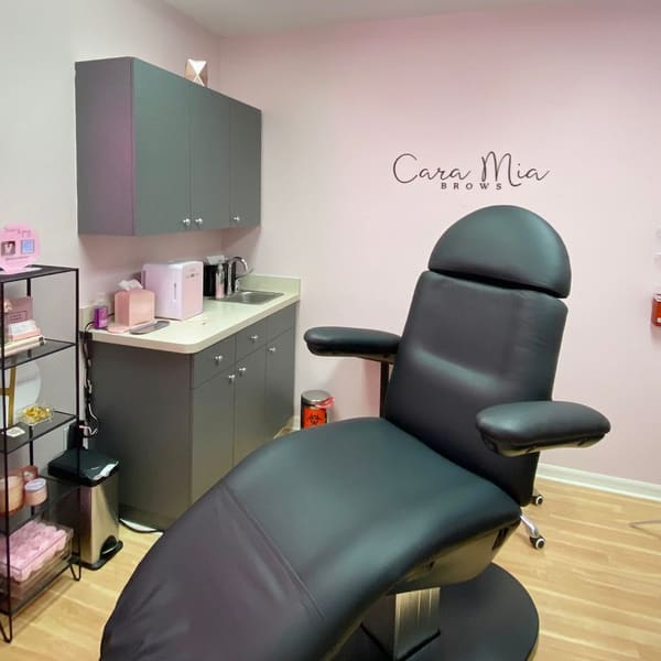 Cara Mia Brows - powder brows in Tampa, FL