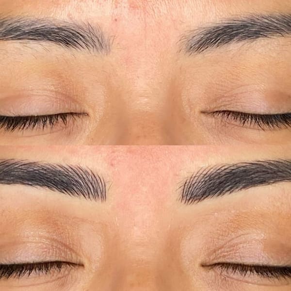 Divinely Browed - permanent makeup work in Santa Rosa, CA