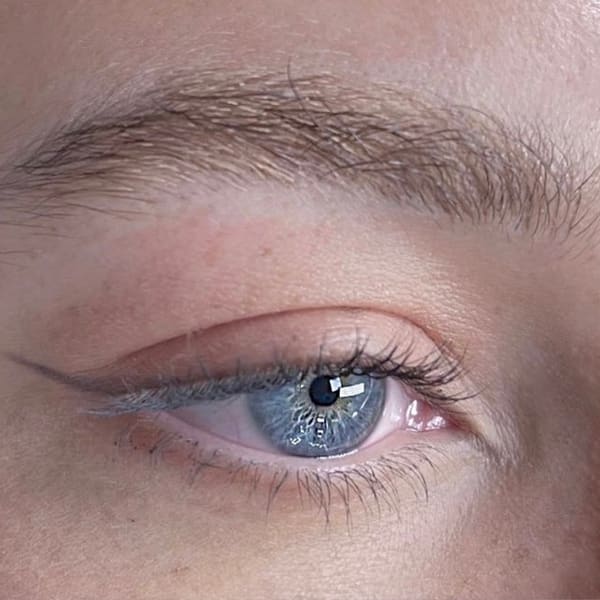 Melika Rezvani ( Rezvani Care) Best Microblading Beverly Hills - microblading in Beverly Hills, CA