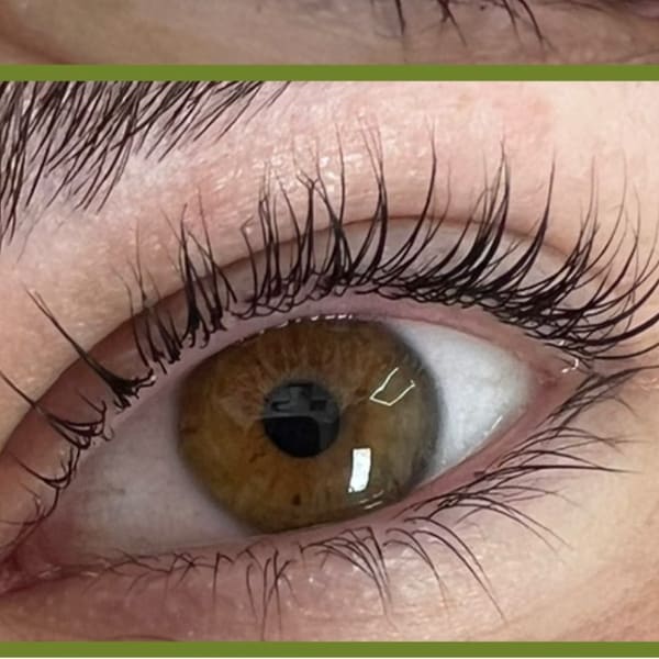 Threadmandu Eyebrow Salon - permanent makeup work in Holly Springs, NC
