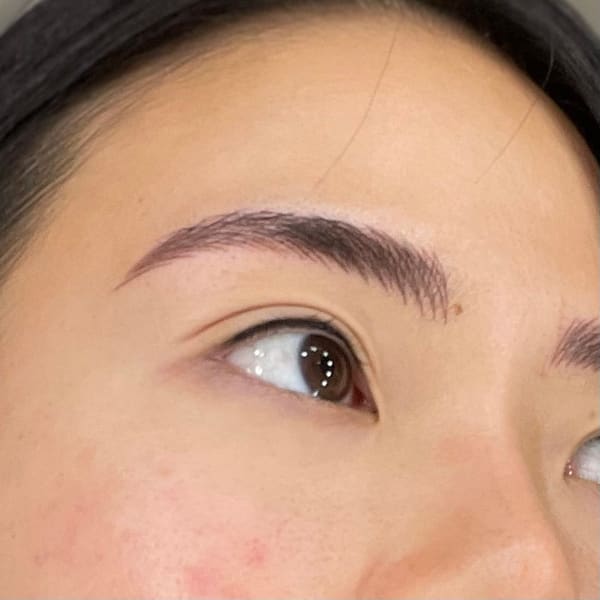 Nara Brows & Lashes - permanent makeup work in Dublin, CA