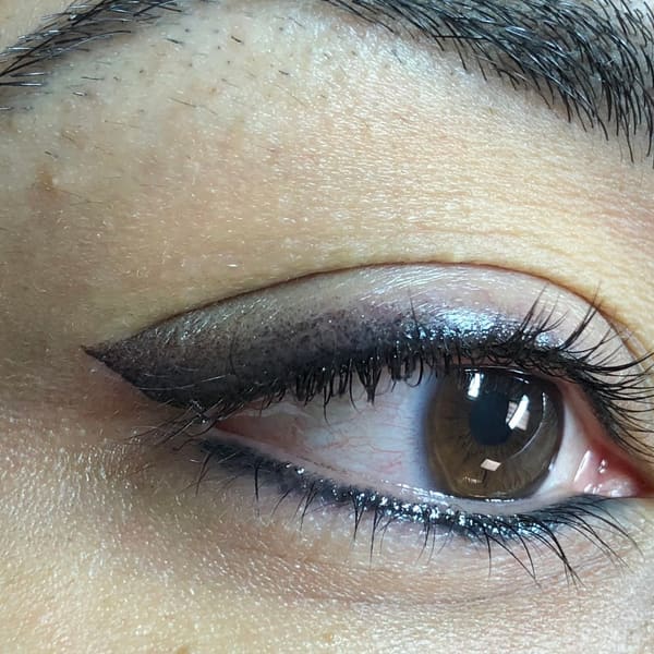 Santa Cruz Eyebrows - permanent makeup work in Scotts Valley, CA