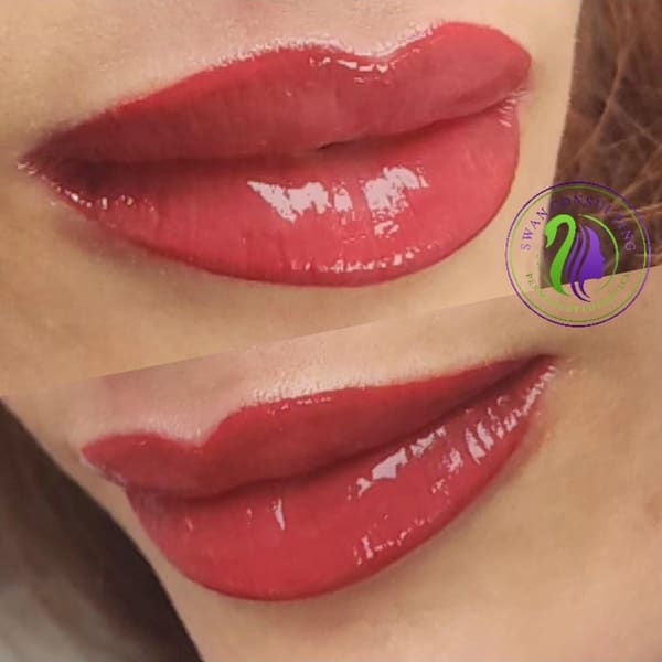 Swan Consulting Permanent Cosmetics - permanent makeup work in Glen Burnie, MD