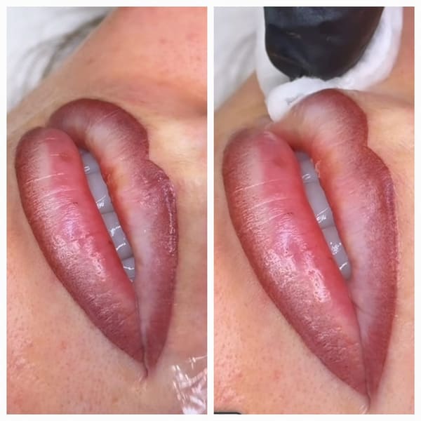 Vixen Beauty by Aurora, Permanent Makeup - permanent makeup work in Plainfield, IL