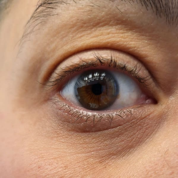 BrowDom Brows & Beauty - permanent makeup work in Oak Brook, IL