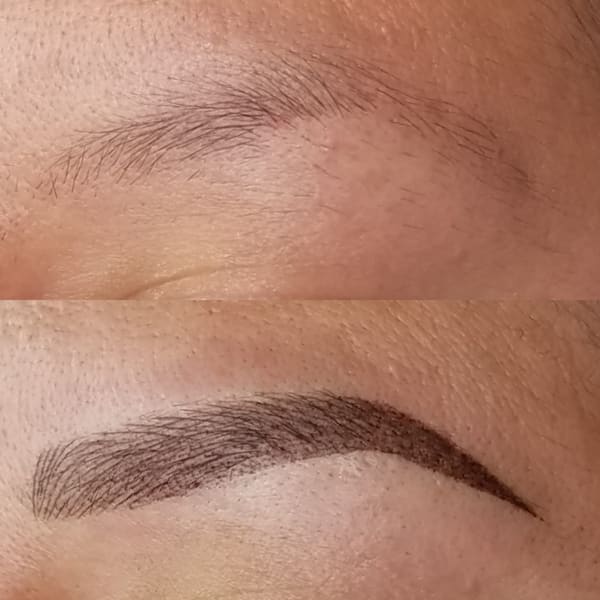 Liz Nava Brows - permanent makeup work in San Juan Capistrano, CA